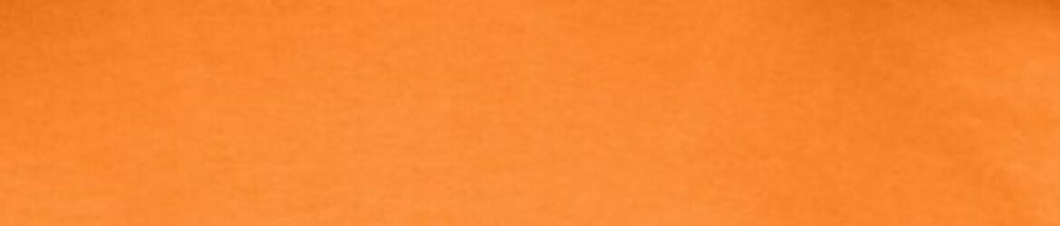 Slot Racing Team Korbach